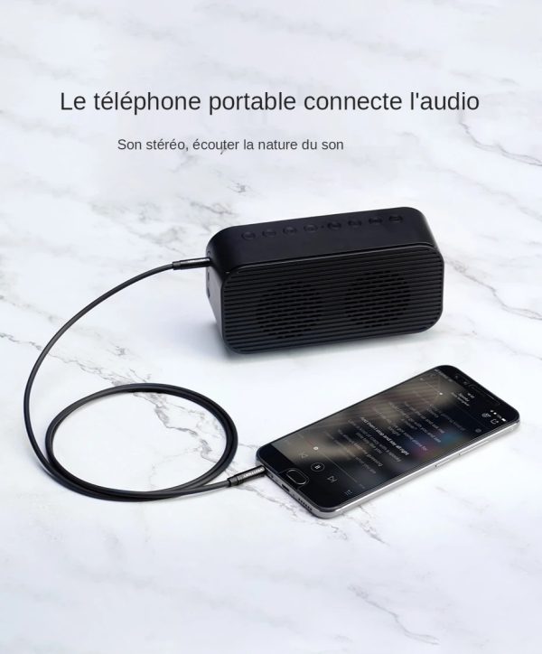 Câble jack 2,5 mm vers 3,5 mm pour haut-parleurs